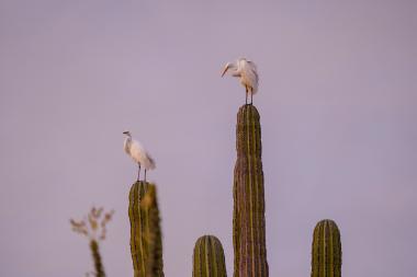 Parque El Palmerito